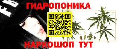 бошки Лесосибирск